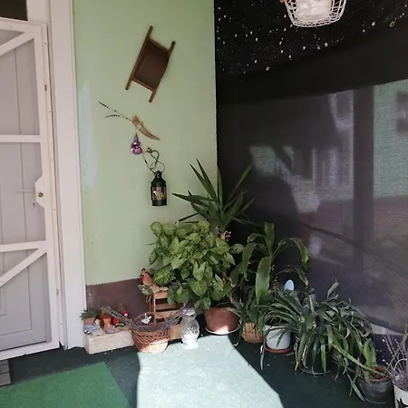Apartment Andrea Haz